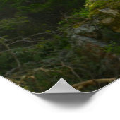 Poster Golden Retriever Chien | Pine Woodland (Coin)