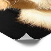 Poster Golden Retriever Closeup (Coin)