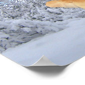 Poster Golden Retriever Danny Boy Imprimer (Coin)