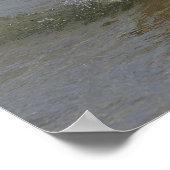 Poster Golden Retriever dans l'eau (Coin)