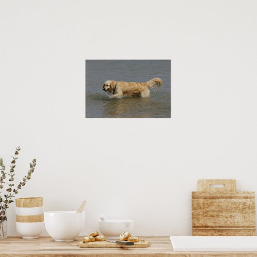 Poster Golden Retriever dans l'eau (Cuisine)