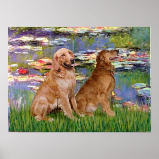 Poster Golden Retriever (deux) - Lys 2 (Devant)