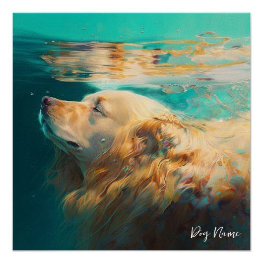 Poster Golden Retriever dog swimming in water 004 (Devant)