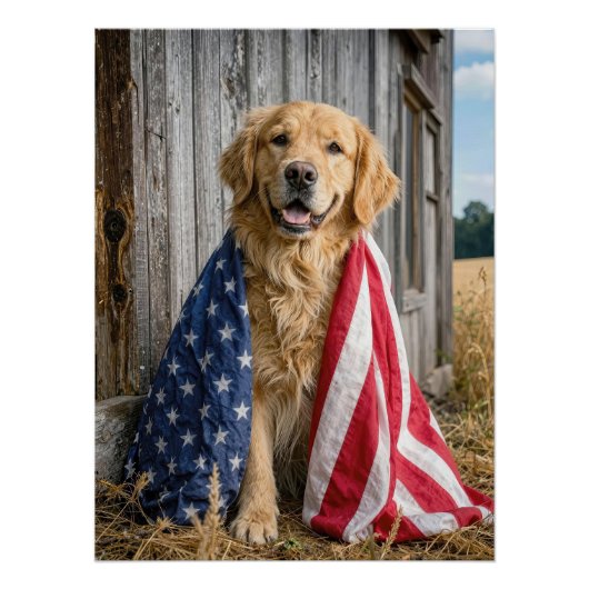 Poster Golden Retriever drapé dans un drapeau américain (Devant)