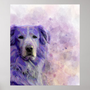 Poster Golden retriever du chien 140