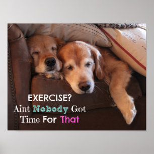 Poster Golden Retriever Exercice Démotivationnel
