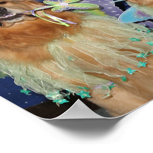 Poster Golden Retriever Fairies (Coin)