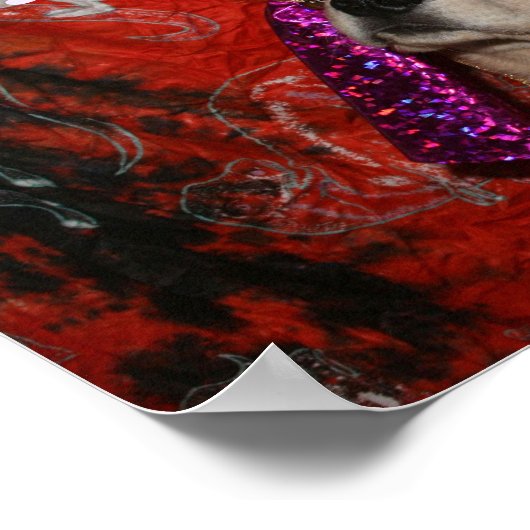 Poster Golden Retriever Fortune Teller (Coin)