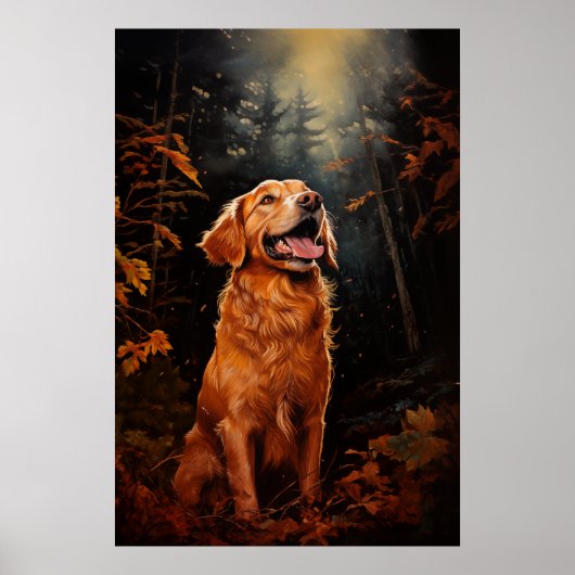 Poster Golden Retriever la nuit (Devant)