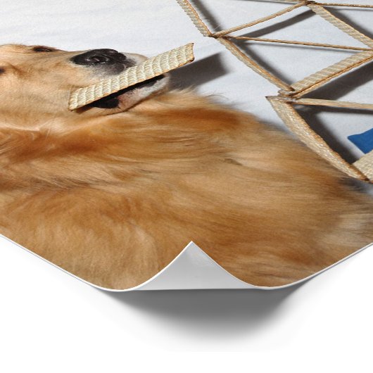 Poster Golden Retriever Matzoh Fun Passover (Coin)