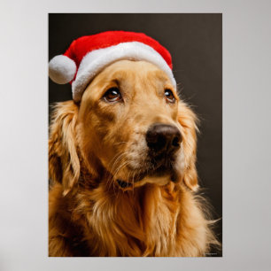 Poster Golden retriever posant pour son Noël