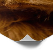 Poster Golden Retriever pose pour son Noël (Coin)