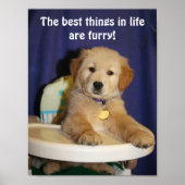 Poster Golden Retriever Pup Les meilleures choses dans la (Devant)