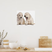 Poster Golden Retriever puppies (4 weeks old) (Cuisine)