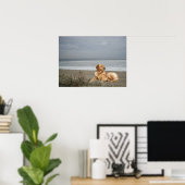 Poster Golden Retriever Sur La Plage Imprimer (Bureau à domicile)