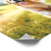 Poster Golden Retriever - tellement heureux (Coin)