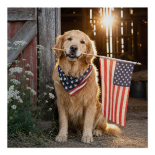 Poster Golden Retriever tenant un drapeau américain
