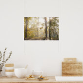 Poster Golden sunlight through autumn trees (Cuisine)