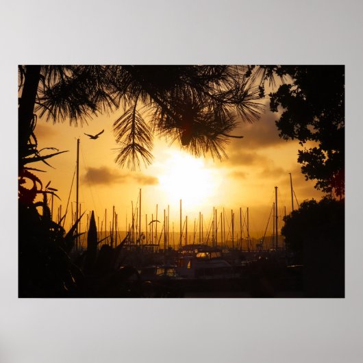 Poster Golden Sunrise au-dessus du port (Devant)