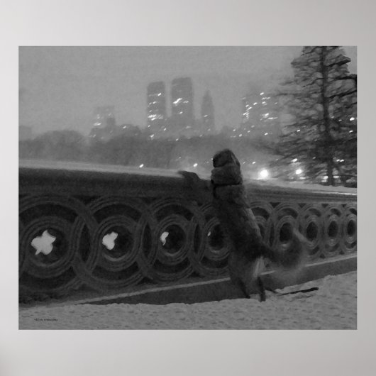 Poster Golden sur Bow Bridge en Neige (Devant)