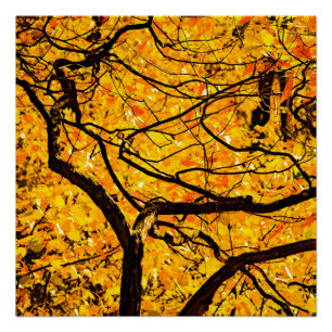 Poster Golden Veins Of Autumn