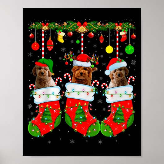 Poster Goldendoodle Dog In Christmas Socks Funny Pet Dog (Devant)