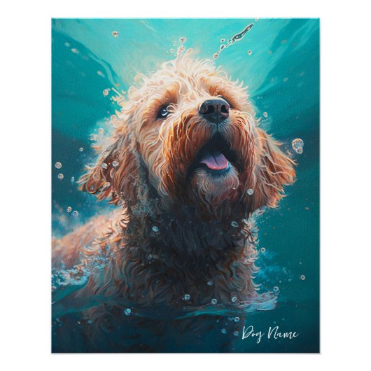 Poster Goldendoodle dog swimming in water 008 (Devant)