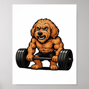Poster Goldendoodle musculation culturiste salle de sport