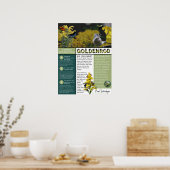 Poster Goldenrod Les idées fausses et les faits (Cuisine)