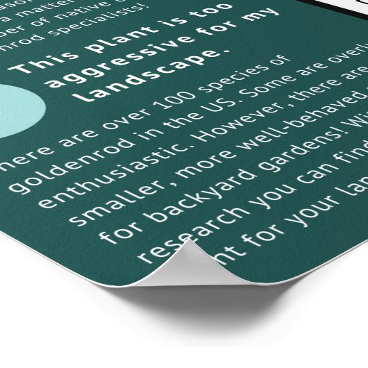 Poster Goldenrod Misconceptions and Facts Blue Theme (Coin)