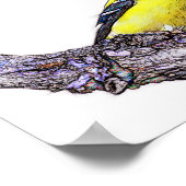 Poster Goldfinch (Coin)