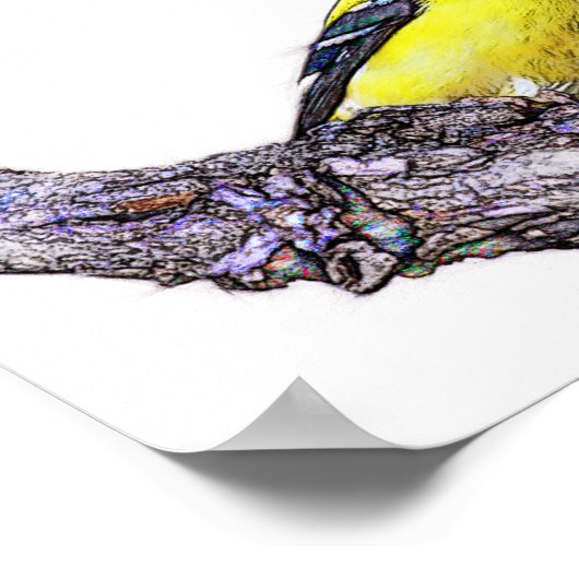 Poster Goldfinch (Coin)