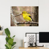 Poster Goldfinch (Bureau à domicile)