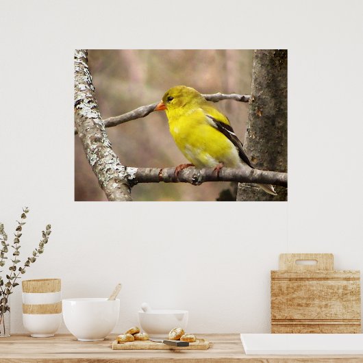 Poster Goldfinch (Cuisine)