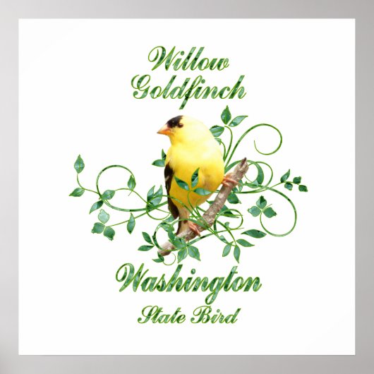 Poster Goldfinch Washington State Bird (Devant)
