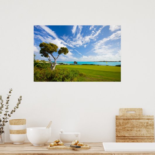 Poster Golf (Cuisine)