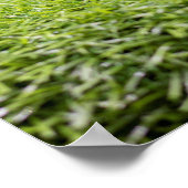 Poster Golf ball est sur le tee on green grass arrière - (Coin)