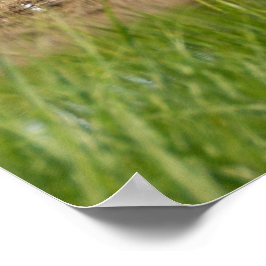 Poster Golf Course Florida (Hoek)