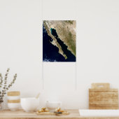 Poster Golfe de Californie (Cuisine)