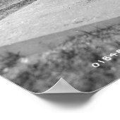 Poster Golferinos African American Children Golf c1905 (Coin)