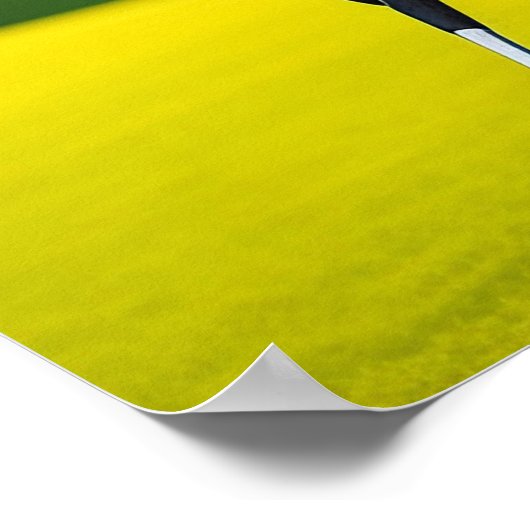 Poster Golfheld (Hoek)