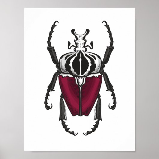 Poster Goliath (Devant)