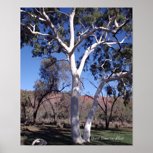 Poster Gomme fantôme en Alice (Devant)