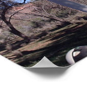 Poster Gomme fantôme en Alice (Coin)