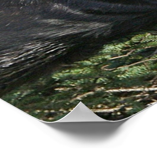 Poster Good Bull Moose (Coin)