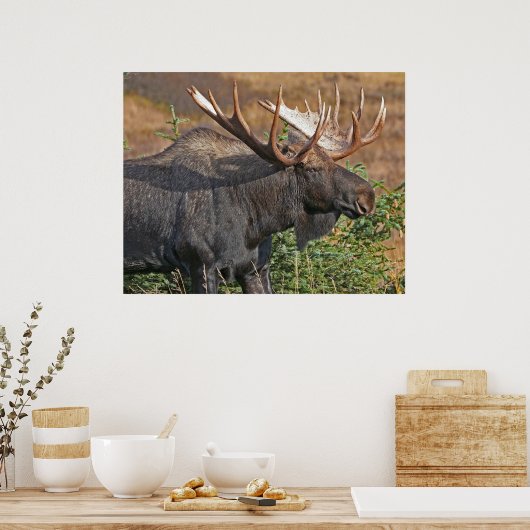 Poster Good Bull Moose (Cuisine)