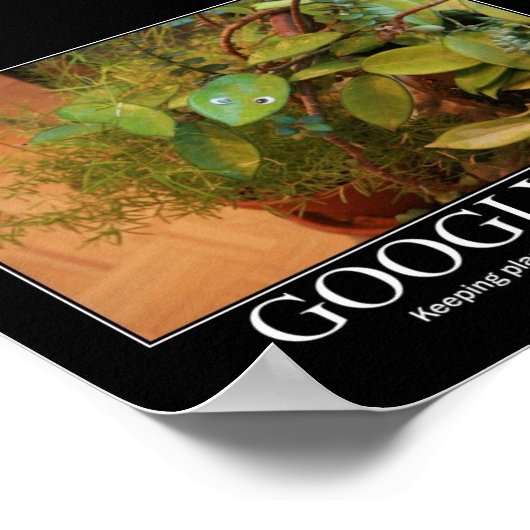 Poster Googly Eyes (Coin)