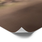 Poster Goose Chick Nature Photo (Coin)