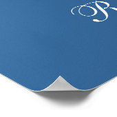 Poster Goose Roman Tufted (Coin)