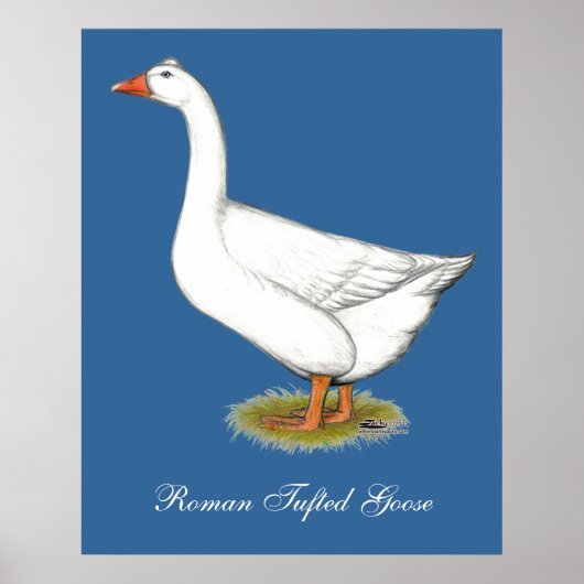 Poster Goose Roman Tufted (Devant)